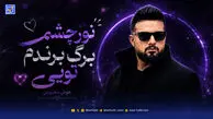 دانلود آهنگ ترند اینستاگرام نور چشمم برگ برندم تویی هوش مصنوعی ورژن کنسرت