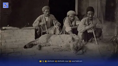 قاب تاریخ| مشت‌مالچی قجری و تبلیغ جالب نوشیدنی سینالکو
