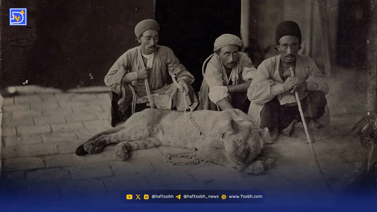 قاب تاریخ| شیر نگون‌بخت در غل و زنجیر سه مرد قجری