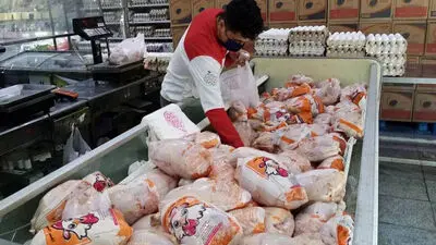 قیمت کالاهای اساسی خانوار: مرغ، تخم مرغ و انواع میوه چند؟ 
