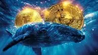انتقال بیش از ۱ میلیارد دلار بیت‌کوین از سوی نهنگ قدیمی؛ آیا بازار در آستانه اصلاح است؟
