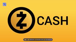 قیمت Zcash احیا شد! بازگشت به قبل از سقوط بازار