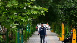 هواشناسی امروز دوشنبه ۲۰ مرداد ۱۴۰۴