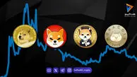 میم سیزن چیست و چرا میم کوین‌ها ناگهان سر زبان‌ها می‌افتند؟