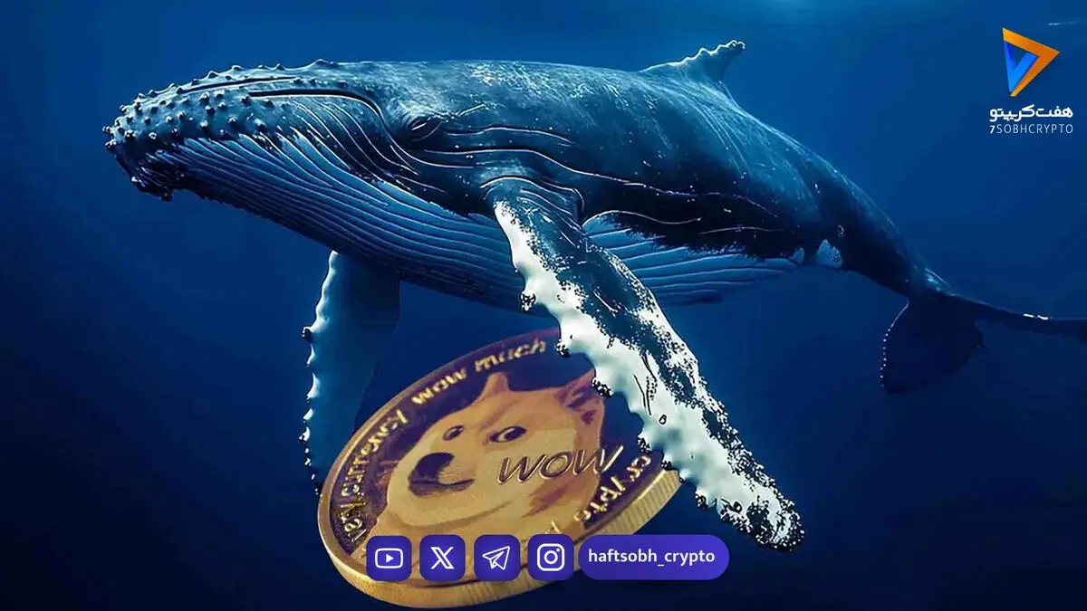 خیزش نهنگ‌ها در بازار دوج‌کوین؛ آیا شکست مقاومت در راه است؟