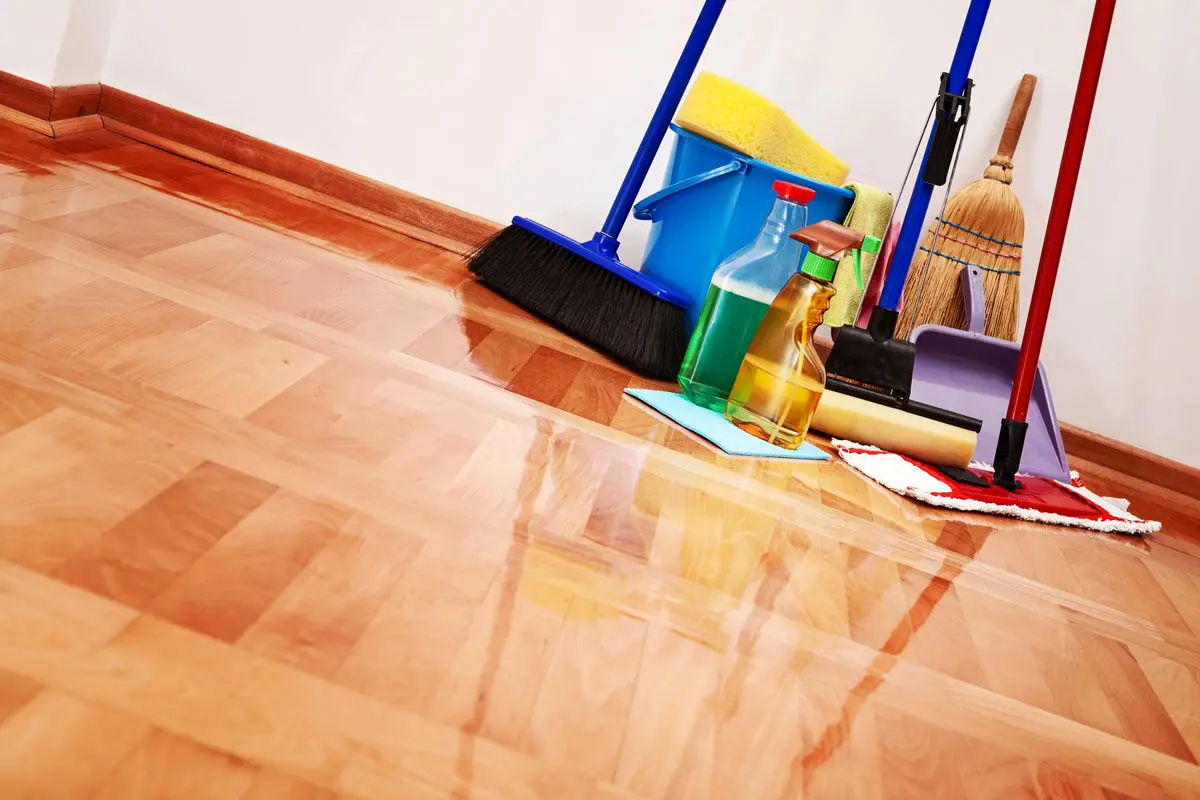 استخدام نظافتچی با شرایط خاص و عجیب
