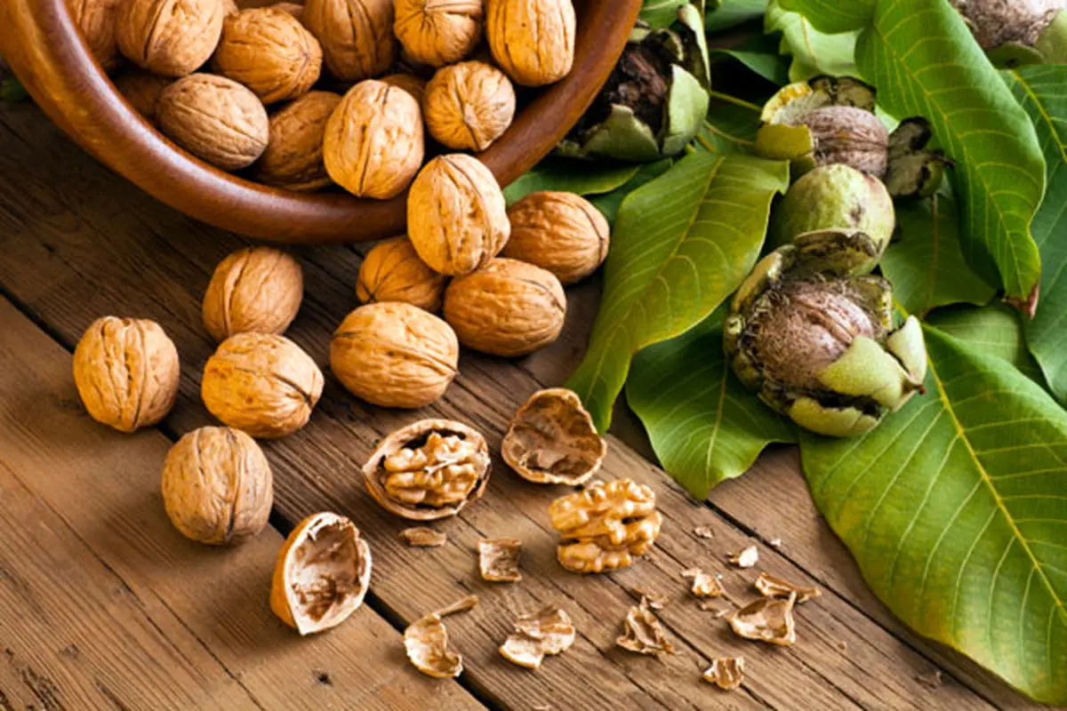 کاهش آلزایمر با مصرف گردو