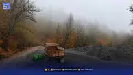 پیچ بری، اسم رمز‌ کوهخواری؛ در جنگل‌های گلندرود چه می‌گذرد؟