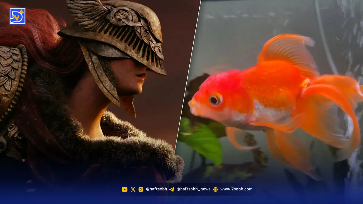 وداع با تورتلینی؛ ماهی قرمزی که باس‌های Elden Ring را از پا درآورد
