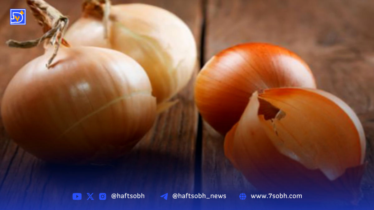 پوست پیاز؛ منبعی نوین برای تولید پوششهای طبیعی