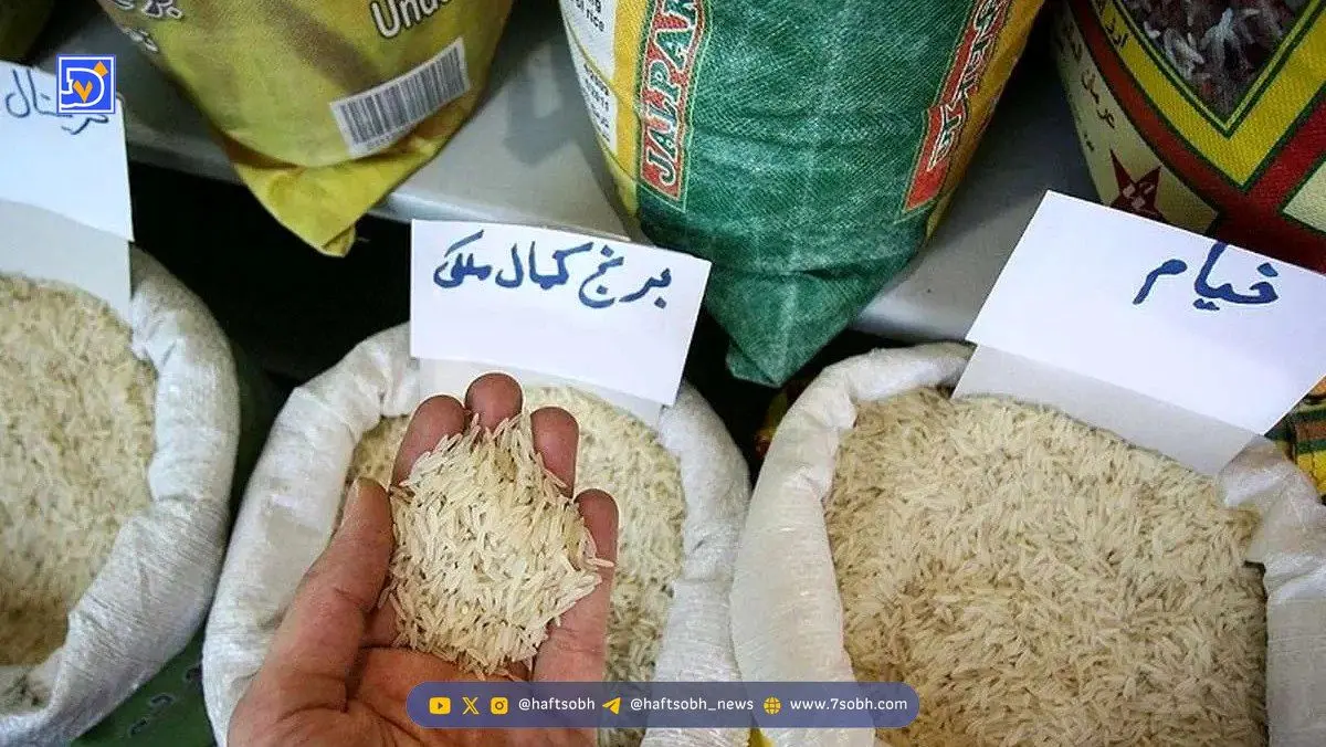خبر جدید درباره برنج پاکستانی رسماً اعلام شد