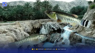 گیاهان ایران بی‌صدا محو ‌می‌شوند