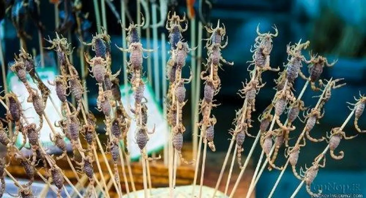 خوردن حشرات بهتر از خوردن حیوانات است!