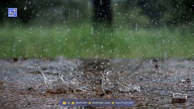 باران پاییزی منتظر پایان تابستان نمی‌ماند