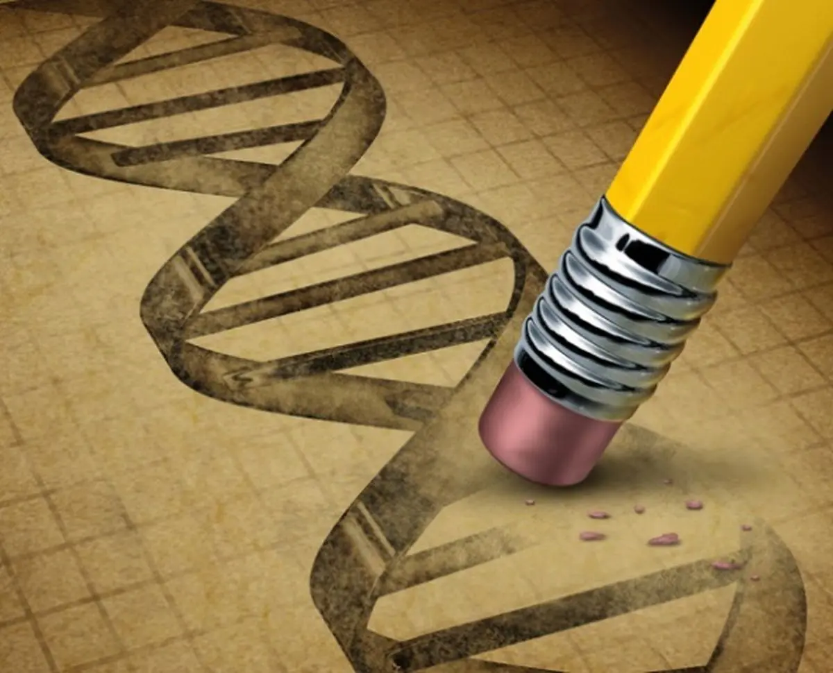 ویرایش DNA انسان در سال ۲۰۱۷ میلادی ممکن خواهد شد