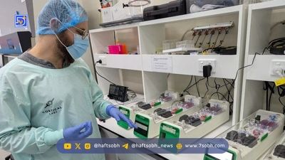 با یک آزمایش سه دقیقه‌ای، آلزایمر را شناسایی کنید 