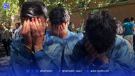 از درگیری ملکی تا قتل مسلحانه 