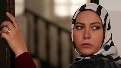  سگ میلیونی فریبا نادری، خانم بازیگر گم شد