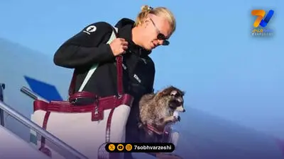 روز متفاوت کشتی ایران در مجارستان؛ یک صعود و سه شکست