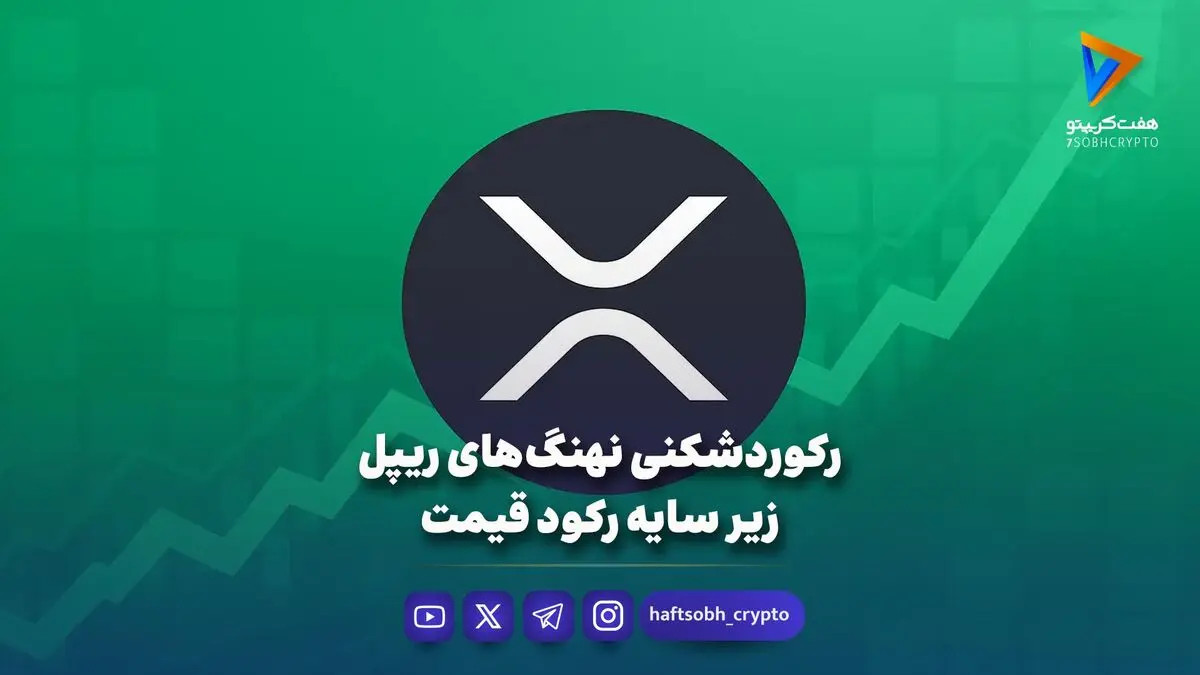 رکوردشکنی نهنگ‌های ریپل زیر سایه رکود قیمت