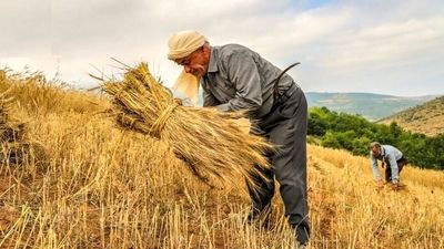 بحران آب، ابرچالش بخش کشاورزی است