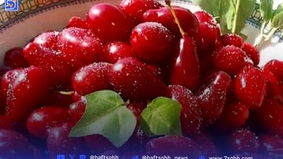 با این روغن پخت و پز نکنید چاق می شوید