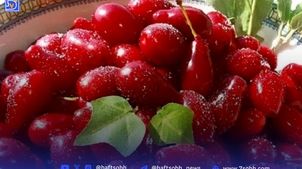 تابستونِ سالم با این میوه جادویی! فشار و کلسترول خداحافظ!