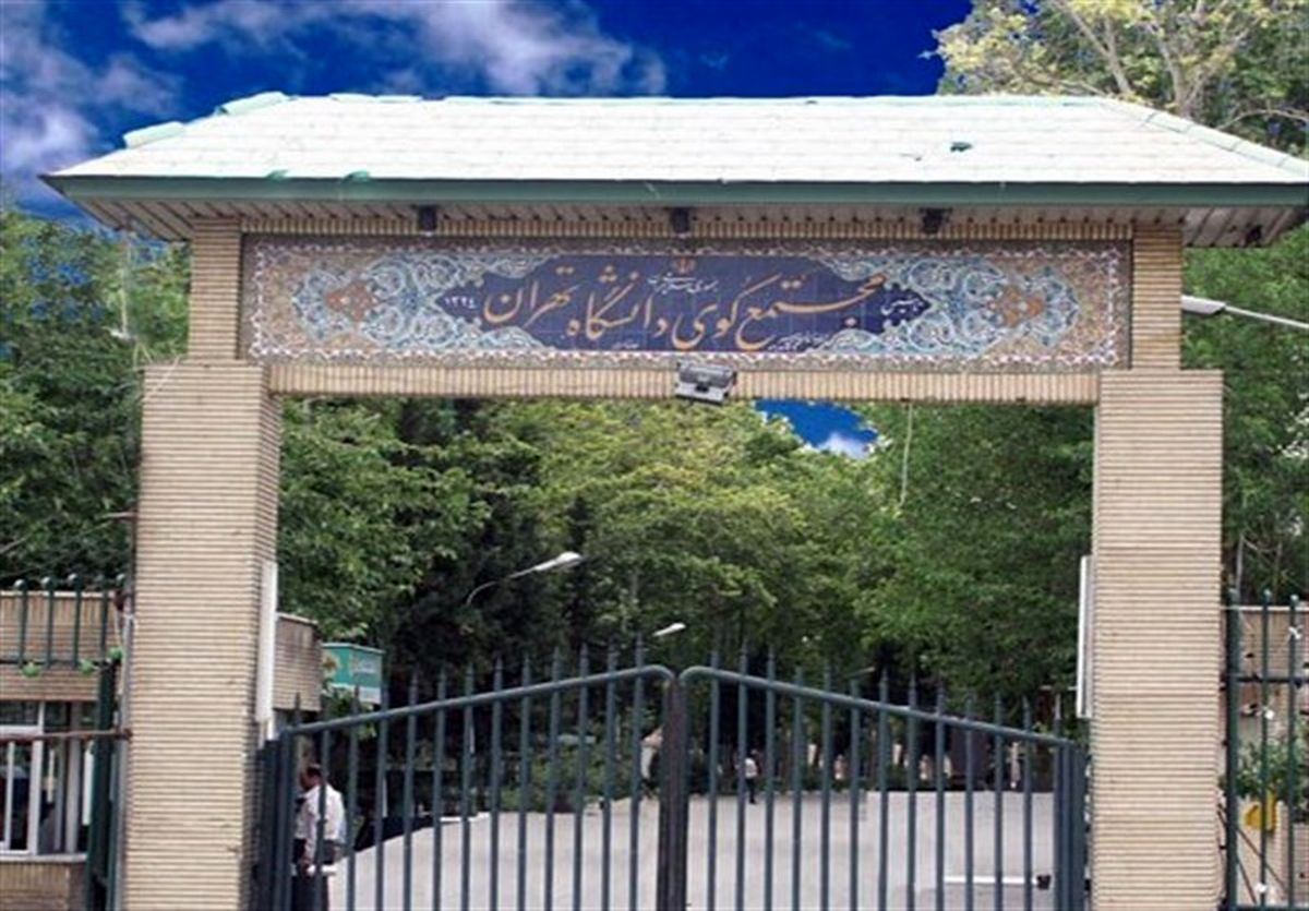 واکنش دانشگاه تهران به قتل دانشجو؛ 3 اقدام فوری برای تأمین امنیت خوابگاهها