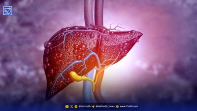 قاتل بیماری آلزایمر را بشناسید