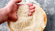 دورریز برنج رکورد زد