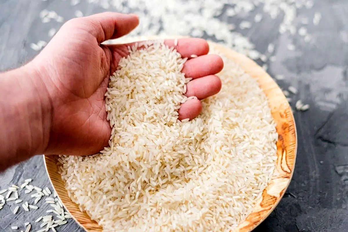 دورریز برنج رکورد زد