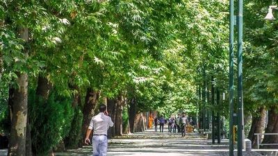 ساخت و ساز در پارک لاله متوقف می‌شود؟