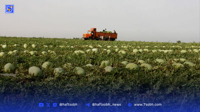 آب‌ کم، آلودگی زیاد و‌ گرمایی‌ که می‌سوزاند 