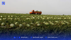 بن‌بست اشتغال؛ بیماری خاموش اقتصاد ایران