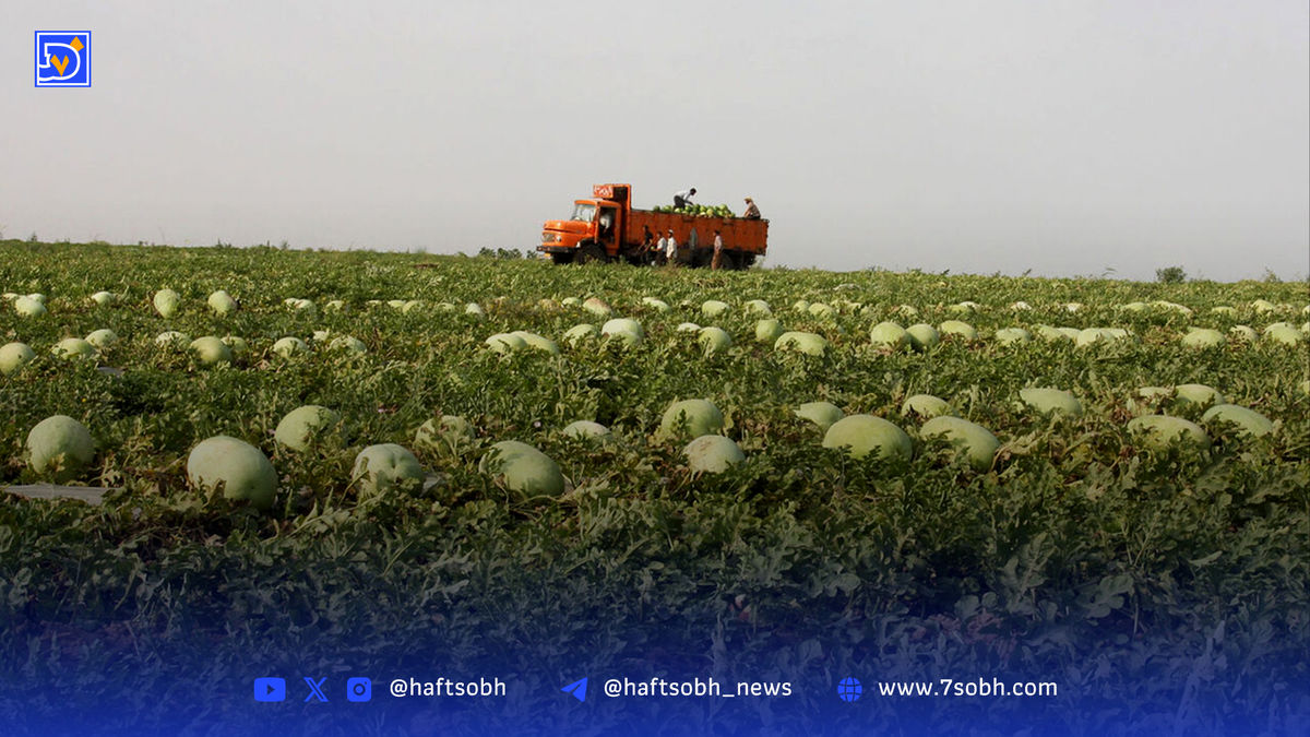 بن‌بست اشتغال؛ بیماری خاموش اقتصاد ایران