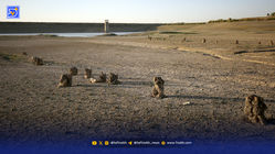 احد وظیفه: بدترین خشکسالی نیم قرن اخیر در راه است