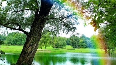 
انسداد مسیر تهران -کرج از امشب و به مدت ۸ شب
