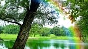  ۵ پارک جنگلی تهران برای تعطیلات آخر هفته+ راهنمای دسترسی