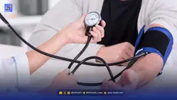 مواد غذایی موثر در کاهش فشار خون