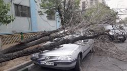 خسارت تندباد امروز در اصفهان به خودروها و درختان