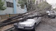 خسارت تندباد امروز در اصفهان به خودروها و درختان