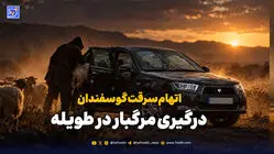 اتهام سرقت گوسفندان؛ درگیری مرگبار در طویله