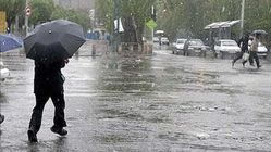 فیلم بارش تگرگ زیبای بهاری در سیاه‌بیشه؛ جاده چالوس دیدنی شد
