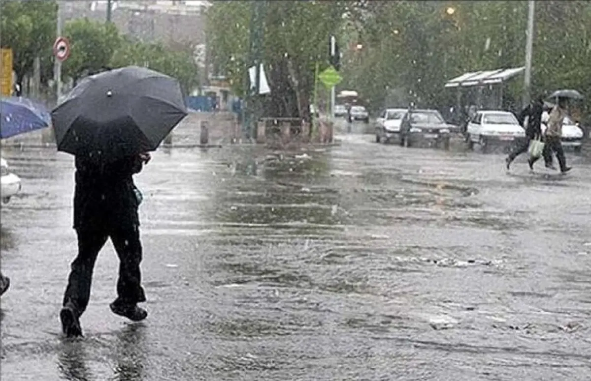 فیلم بارش تگرگ زیبای بهاری در سیاه‌بیشه؛ جاده چالوس دیدنی شد