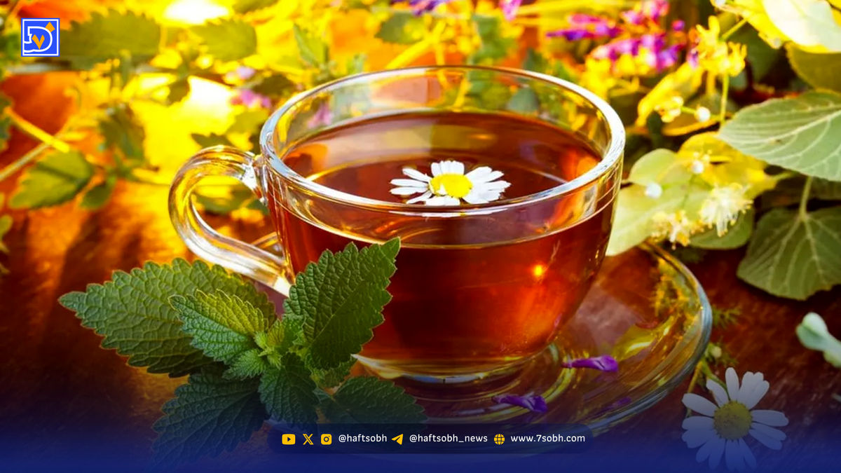 بهترین دمنوش‌های پاییزی برای تقویت سیستم ایمنی بدن / برای پیشگیری از سرماخوردگی بخوانید