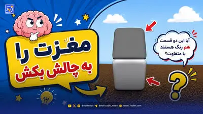مغزت را به چالش بکش | شما هم این تصاویر را متحرک می بینید یا مغزتان شما را فریب داده است؟
