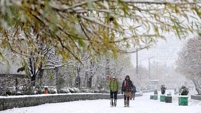 نجات معجزه‌آسای خانواده ۷ نفره از برف سنگین سوادکوه