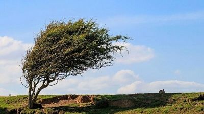 پیش بینی هوای تهران در هفته آینده؛ ابری با وزش باد