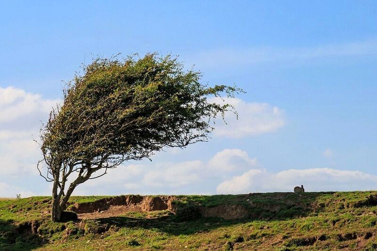 پیش‌بینی هواشناسی؛ پنج شنبه 11 اردیبهشت 1404