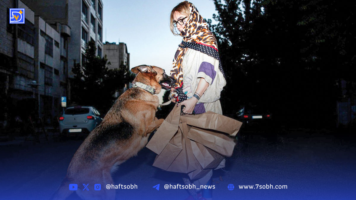 نمایشی با بازی سگ‌ها